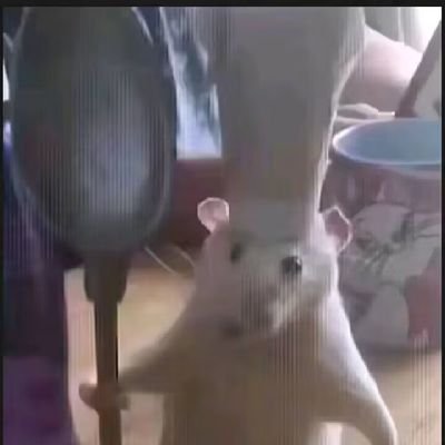 XianTian60578's profile picture. 男性。