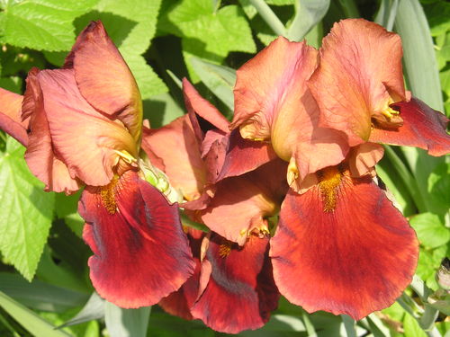 Guust23's profile picture. 