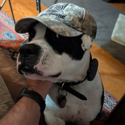 kevgenus's profile picture. Sitting on my farm watching the world's craziness via the magic of Starlink. Follow back all: except loons (aka leftist), BOTs, & Foreign accts. DM for a Block.