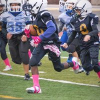 Bloudhound Lil jeff (@longlivjoey) 's Twitter Profile