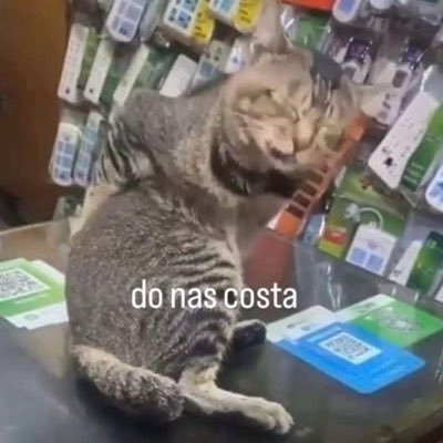 (Uma frase bem foda