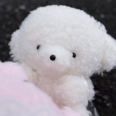 ponichan09's profile picture. 経商法65  情報収集するだけ垢