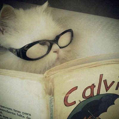 iayuko's profile picture. she/her