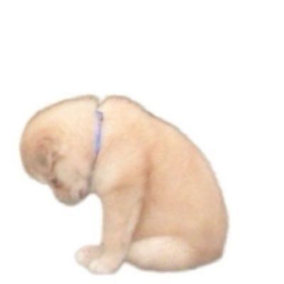 killedglamour's profile picture. very normal person with very normal views on things