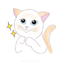きたの (@linereika8170) 's Twitter Profile