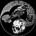 Steve (@steve_delphi) Twitter profile photo Steve (@steve_delphi) Twitter profile photo