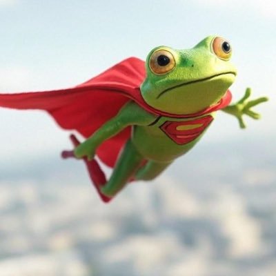 jaripis's profile picture. Lifelong pharmacist with a passion for patient care and wellbeing.