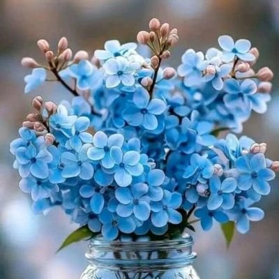 IMNext511682's profile picture. 