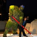 Elena Lau - @Elena22Lau - Twitter