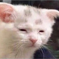 Lisa's Backup (@bckp_liza) 's Twitter Profile