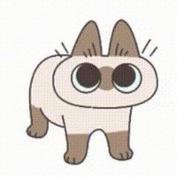 男娘享受者 (@shendaizhiyue) 's Twitter Profile