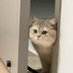 Idalia kucing (@myidaliagran) Twitter profile photo Idalia kucing (@myidaliagran) Twitter profile photo