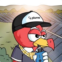 Stephen I Defi RWA (@steehou) 's Twitter Profile
