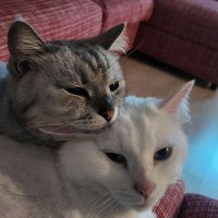 따뜻 (@bravomylife0707) 's Twitter Profile Photo
