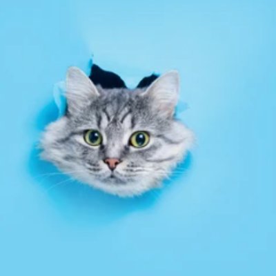 132kyaw132's profile picture. 