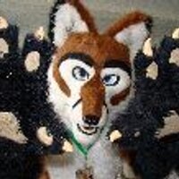 Rougfox (@rougfox) 's Twitter Profile