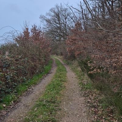 ahmia_ahmed's profile picture. 🇨🇵 🏃🏻