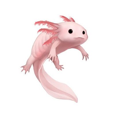 SalamanderCode's profile picture. 