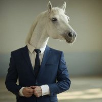 White Horse 🐎 ꕤ (@zegetordms) 's Twitter Profile