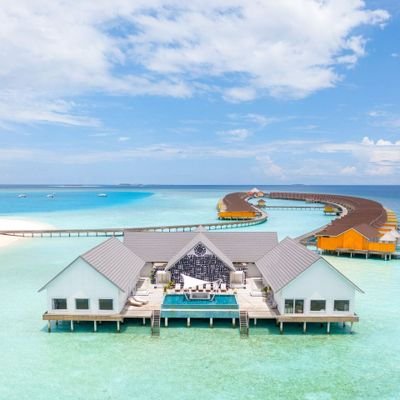 visitmaldivs's profile picture. A special account to promote the Maldives and provide special offers to tourists.
welcomemaldivs@gmail.com