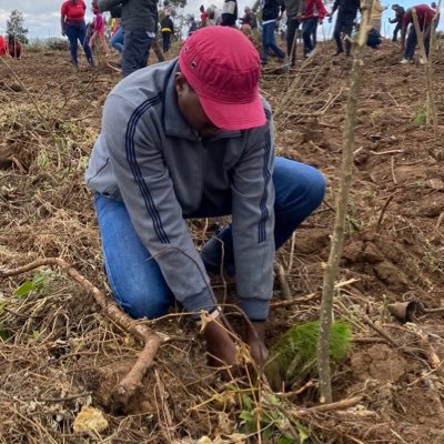 jt_limo's profile picture. tech, good food and a soft spot for cats.