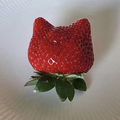 colorfuldayyy's profile picture. hi! 🍓