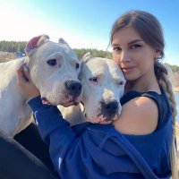 Ella🐾 (@cameliakno82022) 's Twitter Profile