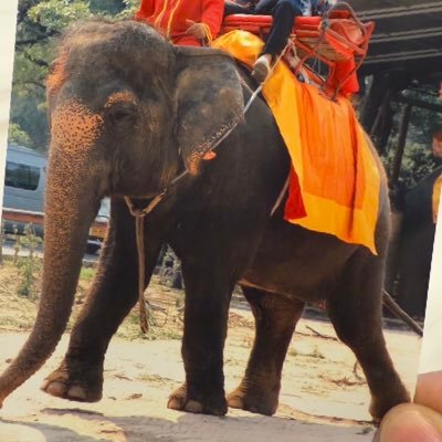 LTqBOSkF9z5J4W5's profile picture. 社会は理不尽で変えるべきもの。投票にも行かず、立候補もせず、候補者も見つけようとしない。これでは冷たい社会はちっとも変わらず、私たちの生活はますます悪くなります。私たちがはっきり意思表示すれば私たちの暮らしは変わることが証明されつつあります。泉房穂『社会の変え方』より 感動の本🥺 殺害予告されても変わらぬ政治姿勢🥺