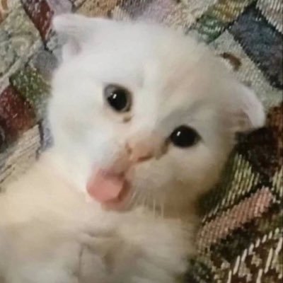 mortormonday's profile picture. (つ⸝⸝• ᴗ•⸝⸝)つ ♡ ♡ ♡ @maxky_rp ✿ @basjtr ♡ ♡ ♡