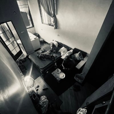 JuliusMathias47's profile picture. Am a champion 🌵