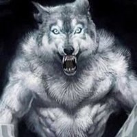 😛 (@czarnyduzykogut) 's Twitter Profile