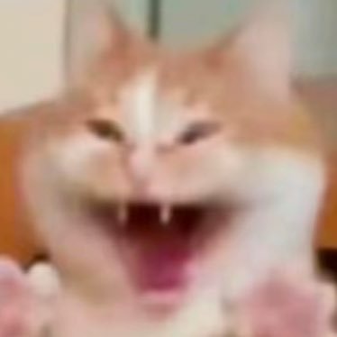 JackChen919849's profile picture. 