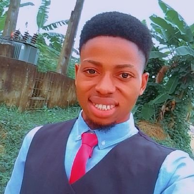 parago53's profile picture. I help Real Estate Brands, Coaches & Web3 Projects & other businesses get 10–100+ leads monthly with Paid Ads + Financial Strategy | Accountant | Trader(crypto)