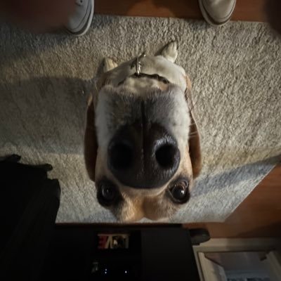 Matt Profile