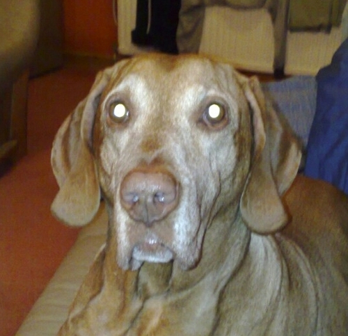 DebPhillips2011's profile picture. 