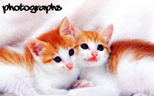 wE aRe hErE tO sHoW yOu tHe bEaUtY oF tHe wOrLd wE bElOnG-tHrOuGh phOtOs... share our FACEBOOK page from mobile/pc... http://t.co/NpdLk8XU5H