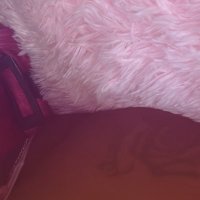 BTCH IM GAY ! (@sgmdgaf) 's Twitter Profile