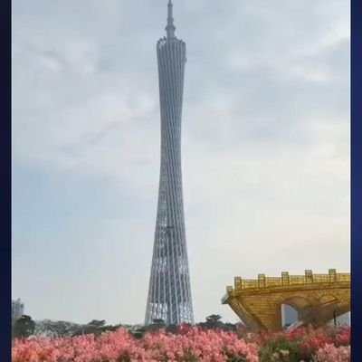 QynAFC's profile picture. @Arsenal 💕