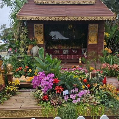 chenwenzhi912's profile picture. 