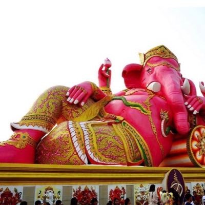 Y7AY3cZZp4T2mmF's profile picture. 