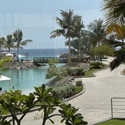 toolii's profile picture. don’t take anything I say seriously it’s all jokes