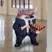 Jan Willem (@jwajwa) 's Twitter Profile Photo Jan Willem (@jwajwa) 's Twitter Profile Photo