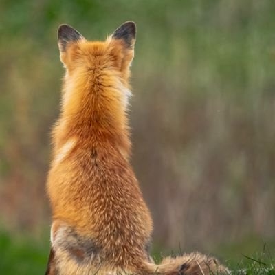 EDK9R2A84M21D75's profile picture. ISKはイソ●ではない。時々籠ります。以下に該当する場合ブロックします⬇️

投資系・カルト・鍵垢・捨て垢・エロ垢（及びそのリストメンバー&フォロワー）、いきなりフォローだけしてくる垢。

特にエロ垢の場合は視界に入るだけで不快なので24。イイね！・RTは必ずしも同意ではない。時々フォロワー整理します。