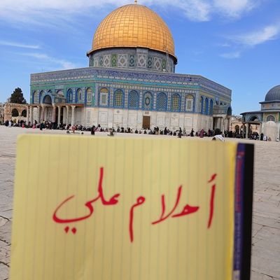 mpabbex4766210's profile picture. لست مهزوماً ما دمت تقاوم.