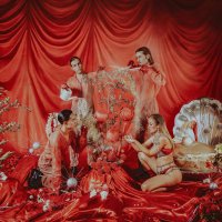 Velvet Bloom (@velvetbloomaus) 's Twitter Profile
