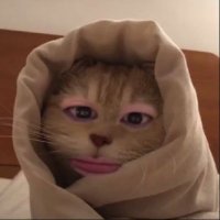 lyrpch (@lyrpch) 's Twitter Profile Photo