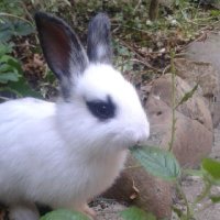 Alberto Buj (@albbuj) 's Twitter Profile Photo Alberto Buj (@albbuj) 's Twitter Profile Photo