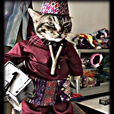chokocat9819's profile picture. 5000 btc holder 🥱🥱🥱🫵🫵🫵