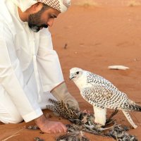 سعود بن سحيم الكعبي (@saoud_su7aim) 's Twitter Profile Photo سعود بن سحيم الكعبي (@saoud_su7aim) 's Twitter Profile Photo