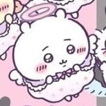 mapo_collection's profile picture. custom : close | handmade artist                         framecard • rosette • ribbon charm • accessories